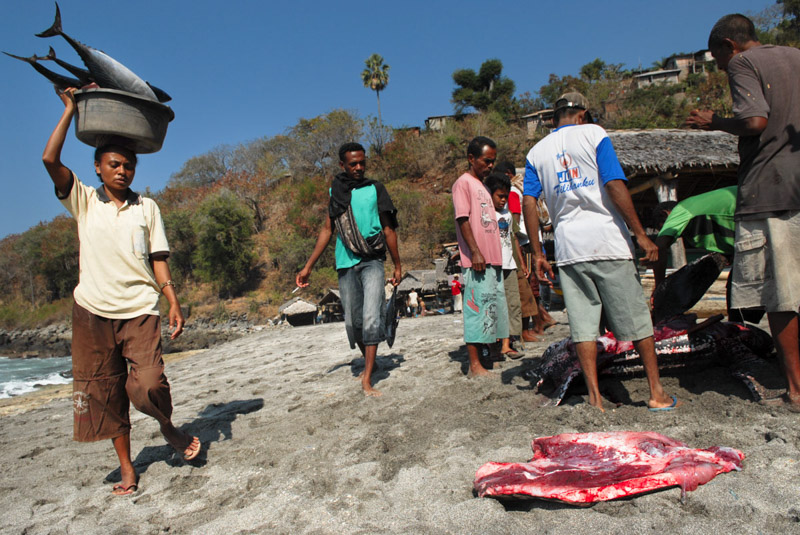 pescatori di Lamalera in Indonesia